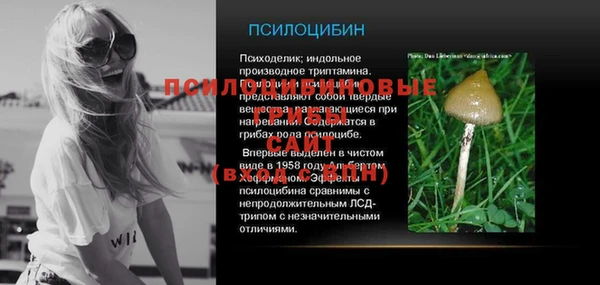 амф Зеленокумск